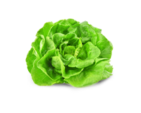 Листовая зелень