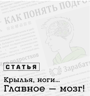 Развитие мозга и поведение подростка